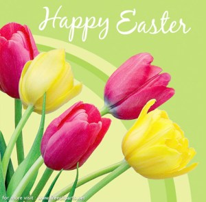 THE EASTER STORY: PROVING THE GIFTS OF FREEDOM, FORGIVENESS